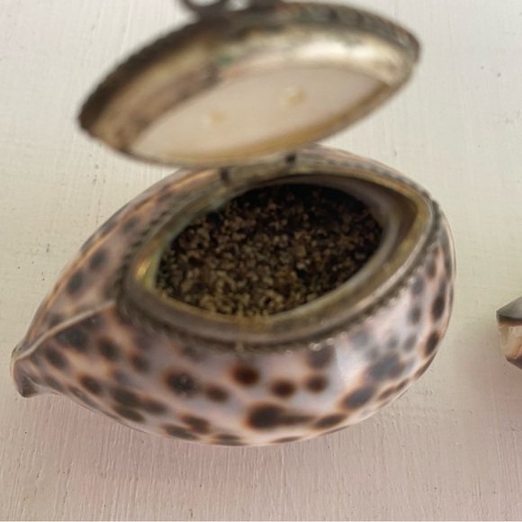 Mini Salt 🧂and Pepper Converted Shell 🐚 Shakers with Mother-of-Pearl Flip Lids - Picture 7 of 10